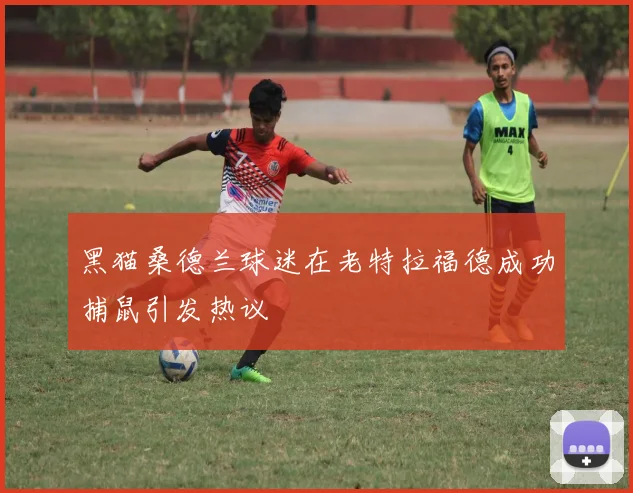 黑猫桑德兰球迷在老特拉福德成功捕鼠引发热议