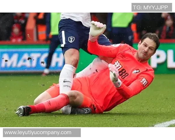 弗兰克谈小卡伤情揭示脚踝问题背后的复杂性与脚部损伤情况