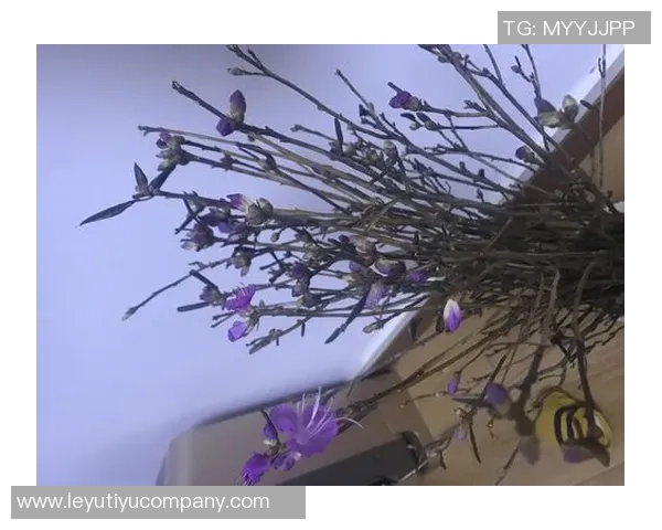 谢尔曼谈状态波动强调心态平和并随时准备上场比赛